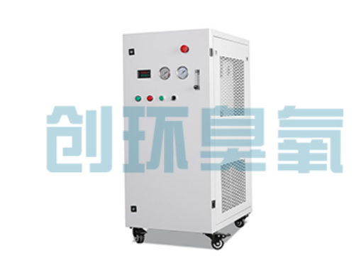 铜川石斑鱼养殖水质调控完整指南：臭氧发生器配置与操作步骤
