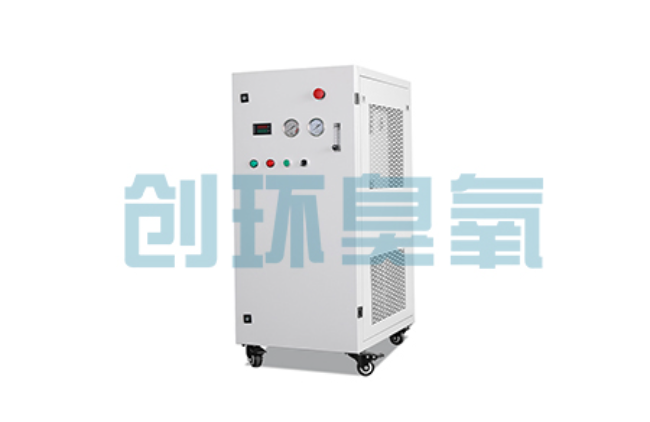 铜川比传统换水更高效？臭氧发生器在石斑鱼养殖中的水质净化原理解析