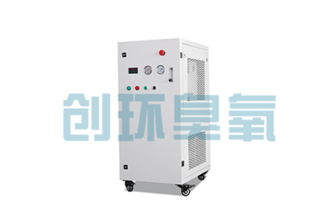 铜川比传统换水更高效?臭氧发生器在石斑鱼养殖中的水质净化原理解析